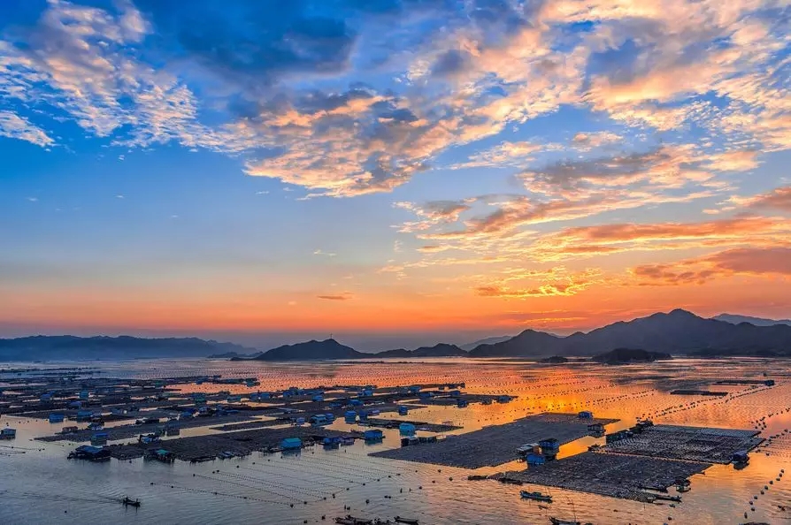 水產(chǎn)養(yǎng)殖太難了？那是因為你沒用無油空壓機！